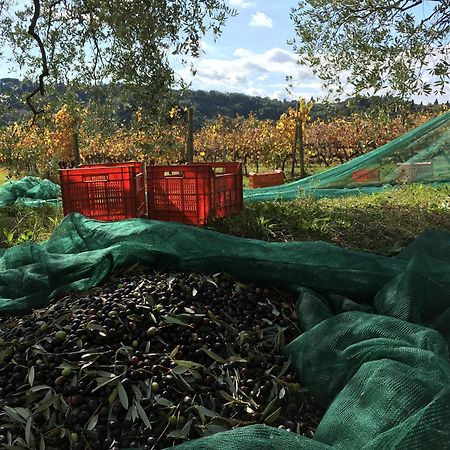 Tenuta Guardastelle - Agriturismo And Vineyard Сан Джиминяно Екстериор снимка
